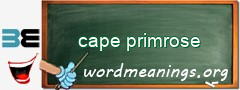 WordMeaning blackboard for cape primrose